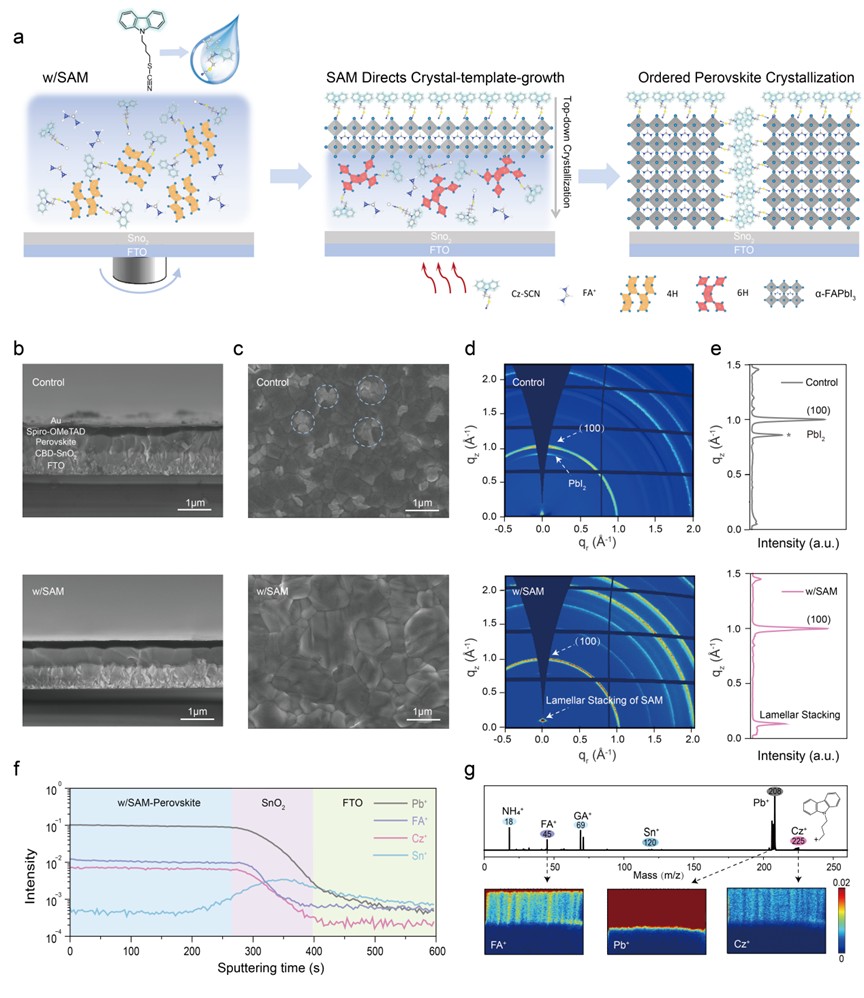 《自然.通讯》报道黄维院士、秦天石教授、王芳芳教授团队在钙钛矿太阳能电池领域的研究进展