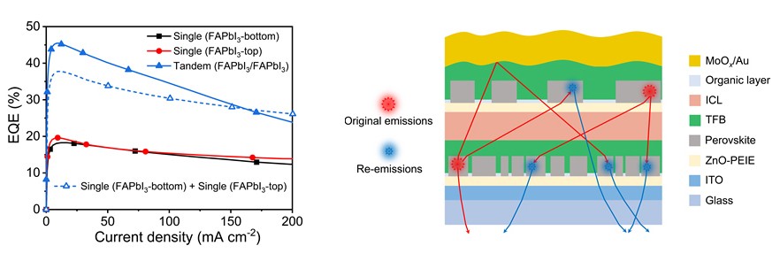 《自然》报道黄维院士、王建浦教授、王娜娜教授团队在基于层间光子循环实现高效率叠层钙钛矿LED领域重大成果